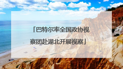 巴特尔率全国政协视察团赴湖北开展视察