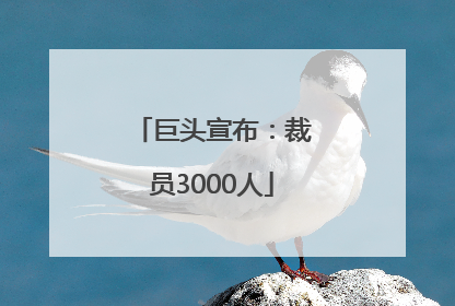 巨头宣布：裁员3000人
