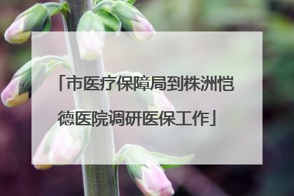 市医疗保障局到株洲恺德医院调研医保工作
