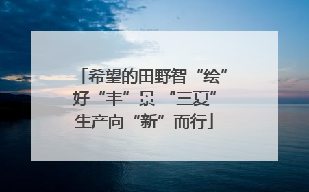 希望的田野智“绘”好“丰”景 “三夏”生产向“新”而行