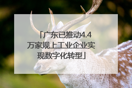 广东已推动4.4万家规上工业企业实现数字化转型