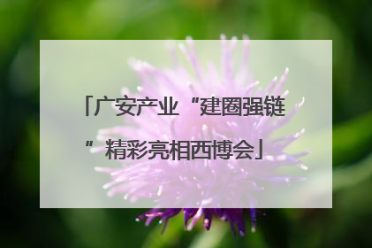 广安产业“建圈强链”精彩亮相西博会