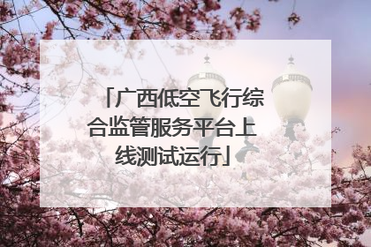广西低空飞行综合监管服务平台上线测试运行