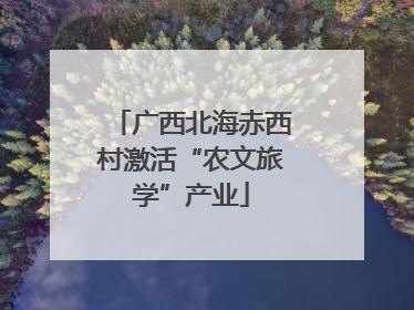 广西北海赤西村激活“农文旅学”产业