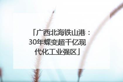 广西北海铁山港：30年蝶变超千亿现代化工业强区