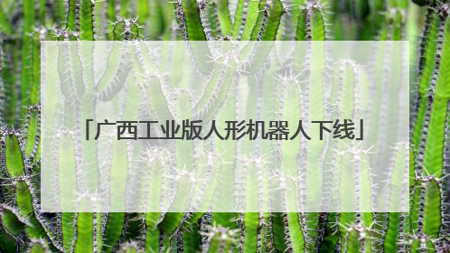 广西工业版人形机器人下线