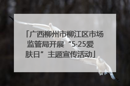广西柳州市柳江区市场监管局开展“5·25爱肤日”主题宣传活动