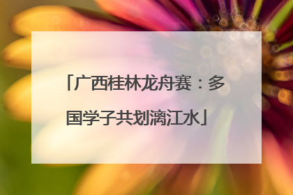 广西桂林龙舟赛：多国学子共划漓江水