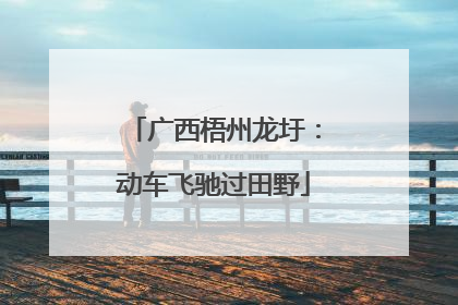 广西梧州龙圩：动车飞驰过田野