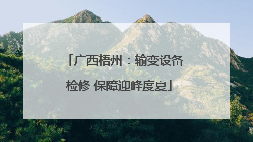 广西梧州：输变设备检修 保障迎峰度夏