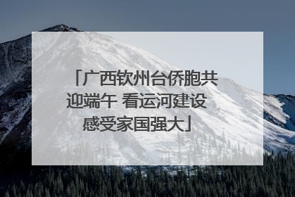 广西钦州台侨胞共迎端午 看运河建设感受家国强大