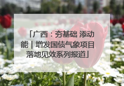 广西：夯基础 添动能｜增发国债气象项目落地见效系列报道