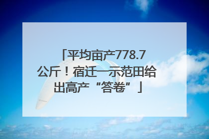 平均亩产778.7公斤！宿迁一示范田给出高产“答卷”
