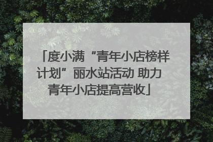 度小满“青年小店榜样计划”丽水站活动 助力青年小店提高营收