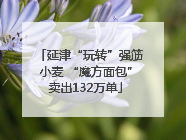 延津“玩转”强筋小麦 “魔方面包”卖出132万单