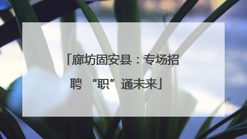 廊坊固安县：专场招聘 “职”通未来