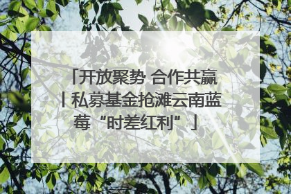 开放聚势 合作共赢丨私募基金抢滩云南蓝莓“时差红利”