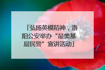 弘扬英模精神，洛阳公安举办“最美基层民警”宣讲活动