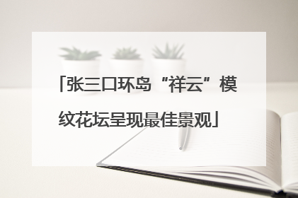张三口环岛“祥云”模纹花坛呈现最佳景观