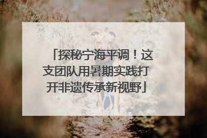 探秘宁海平调！这支团队用暑期实践打开非遗传承新视野