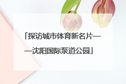 探访城市体育新名片——沈阳国际泵道公园