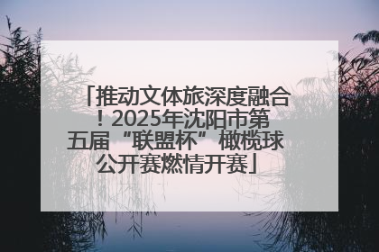 推动文体旅深度融合！2025年沈阳市第五届“联盟杯”橄榄球公开赛燃情开赛