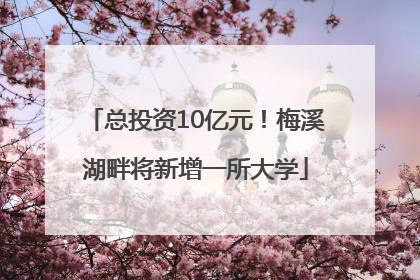 总投资10亿元！梅溪湖畔将新增一所大学
