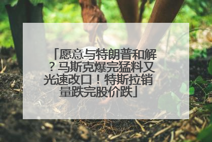 愿意与特朗普和解？马斯克爆完猛料又光速改口！特斯拉销量跌完股价跌