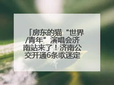 房东的猫“世界/青年”演唱会济南站来了！济南公交开通6条歌迷定制专线