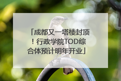 成都又一塔楼封顶！行政学院TOD综合体预计明年开业