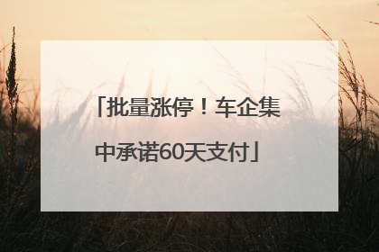 批量涨停！车企集中承诺60天支付