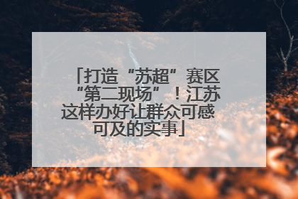 打造“苏超”赛区“第二现场”！江苏这样办好让群众可感可及的实事