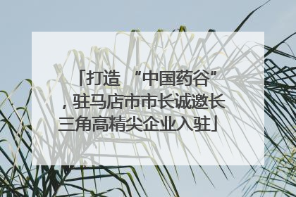 打造 “中国药谷”，驻马店市市长诚邀长三角高精尖企业入驻