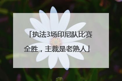 执法3场印尼队比赛全胜，主裁是老熟人