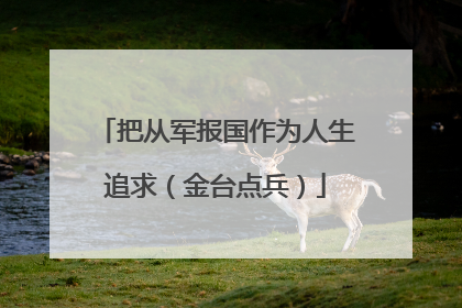 把从军报国作为人生追求（金台点兵）