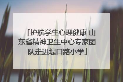 护航学生心理健康 山东省精神卫生中心专家团队走进堤口路小学