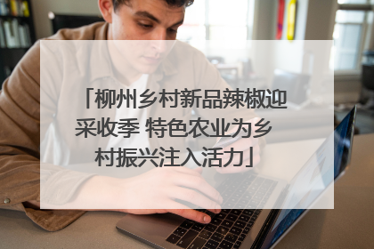 柳州乡村新品辣椒迎采收季 特色农业为乡村振兴注入活力