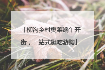 柳沟乡村奥莱端午开街，一站式逛吃游购