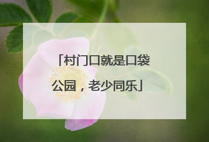 村门口就是口袋公园，老少同乐