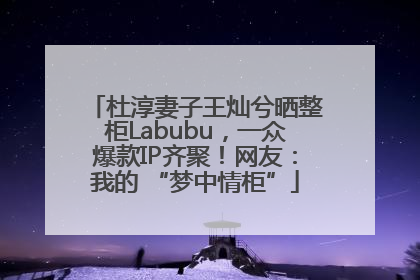 杜淳妻子王灿兮晒整柜Labubu，一众爆款IP齐聚！网友：我的 “梦中情柜”