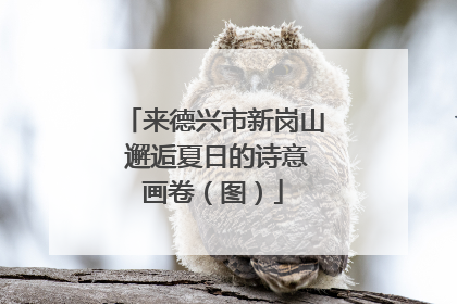 来德兴市新岗山 邂逅夏日的诗意画卷（图）