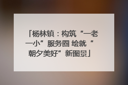 杨林镇：构筑“一老一小”服务圈 绘就“朝夕美好”新图景
