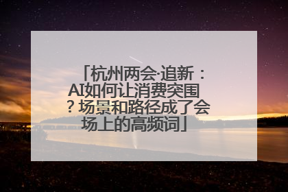 杭州两会·追新：AI如何让消费突围？场景和路径成了会场上的高频词