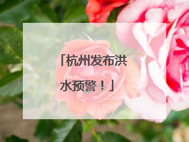 杭州发布洪水预警！