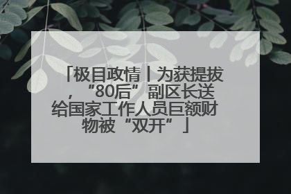 极目政情丨为获提拔，“80后”副区长送给国家工作人员巨额财物被“双开”