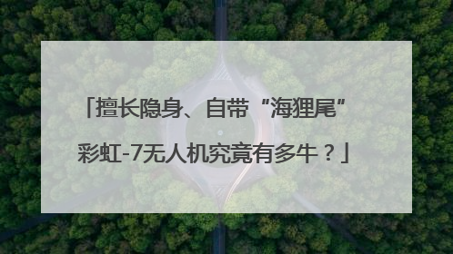 擅长隐身、自带“海狸尾” 彩虹-7无人机究竟有多牛？