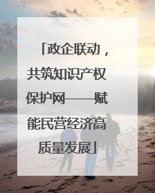 政企联动，共筑知识产权保护网——赋能民营经济高质量发展