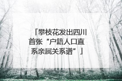 攀枝花发出四川首张“户籍人口直系亲属关系谱”