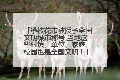攀枝花市被授予全国文明城市称号 当地这些村镇、单位、家庭、校园也是全国文明！