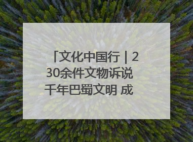 文化中国行｜230余件文物诉说千年巴蜀文明 成渝地区基建考古成果展开展